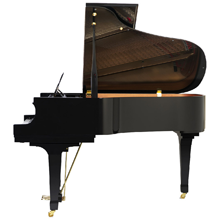 ESSEX EGP-173 C Parlak Siyah 173 CM Kuyruklu Piyano